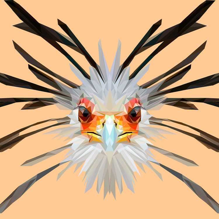 Low Poly illustration of a secretary bird